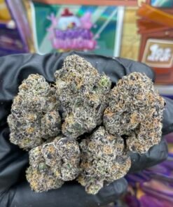 Sweetz Exotics Flower Traphouse Edition