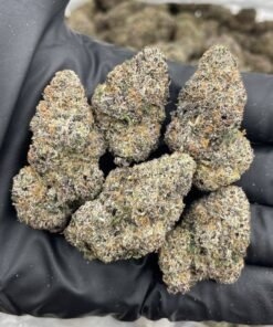 Candy Curelato Strain