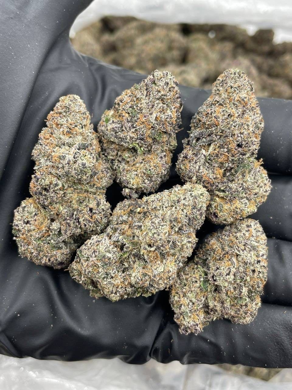Candy Curelato Strain