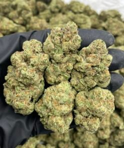 Sour Cotton Candy