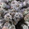 Black Cherry Lemonhead Strain