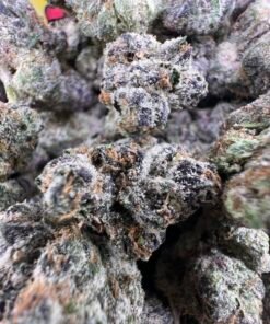 Black Cherry Lemonhead Strain