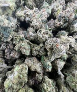 Bolo Candy Cannabis Strain Flower
