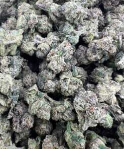 Alternative view of Bolo Candy Cannabis Strain Flower