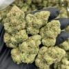 Gorilla Glue (GG4) Cannabis Strain