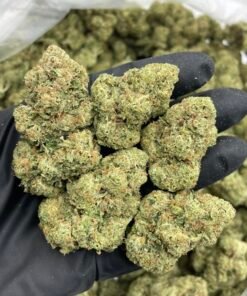 Gorilla Glue (GG4) Cannabis Strain