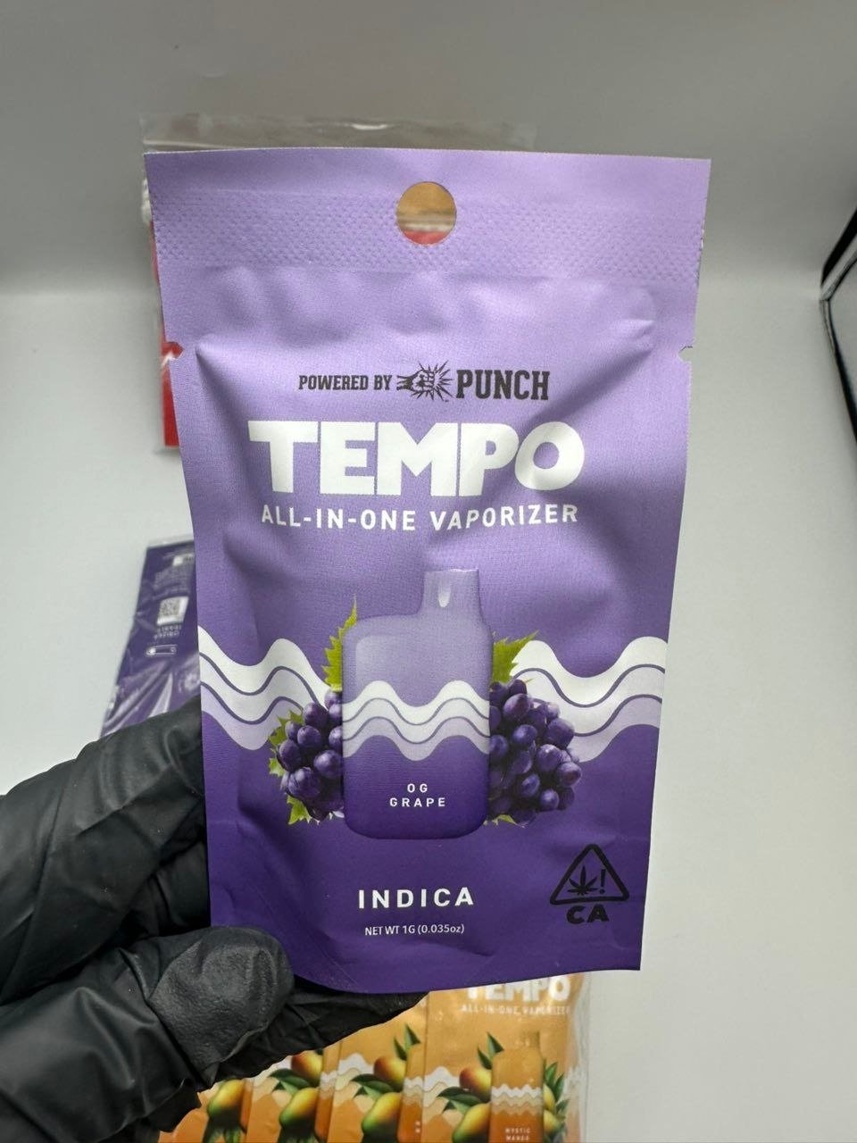 Tempo All In One Vaporizer 1G Disposable - Image 3