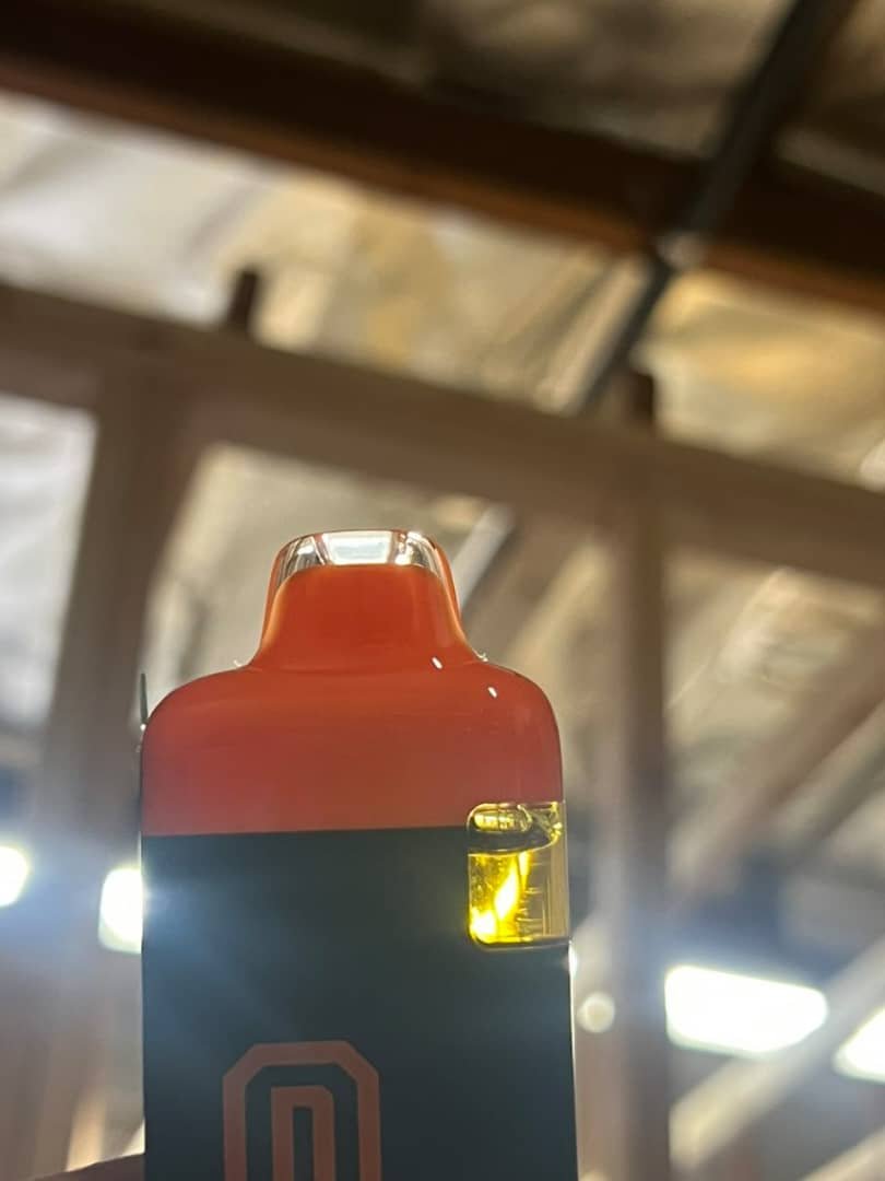 Dropout Academy 3G Disposable - Image 2