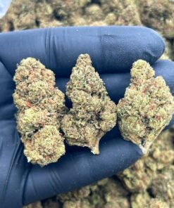 Sky Walker Lows Premium Cannabis