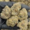 Bubblegum Belts Premium Cannabis Flower