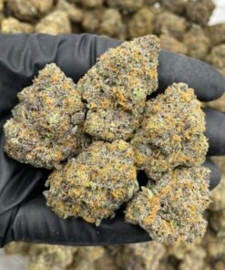 Bubblegum Belts Premium Cannabis Flower