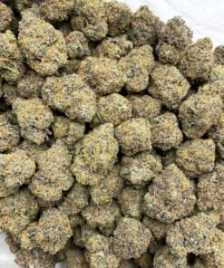 Alternative view of Bubblegum Belts Premium Cannabis Flower