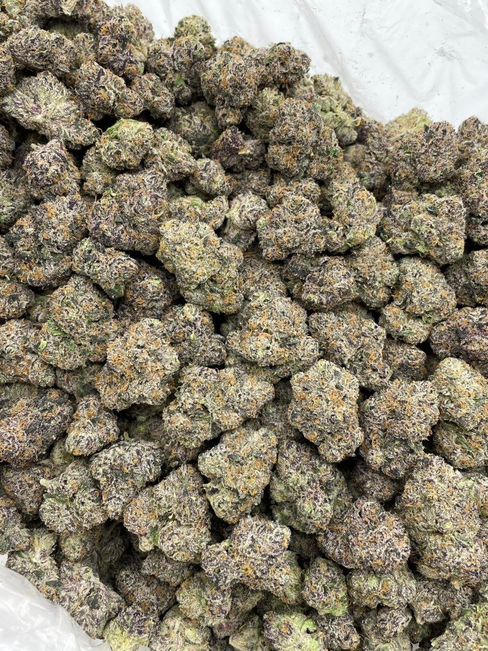 Galactic Cherry Runtz Exotic Flower - Image 2