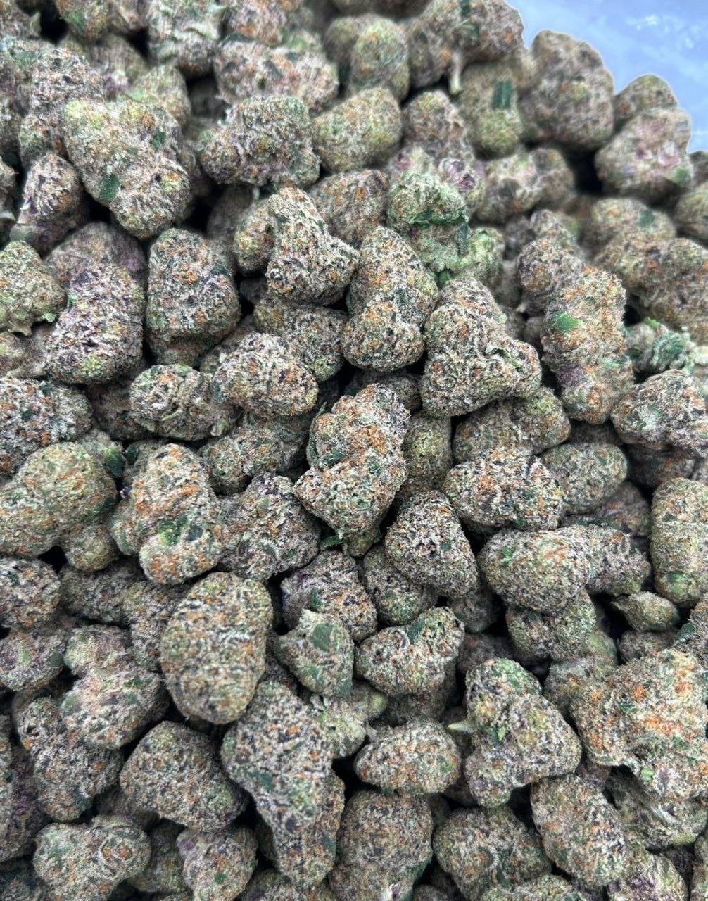 Hot Cake Candy Taco Premium Cannabis Flower - Image 2