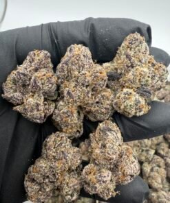 Kool Aid Pineapple Cannabis Flower