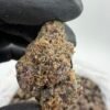 Frosted Nerdz Premium Cannabis