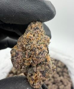 Alternative view of Censored Candy Premium Cannabis