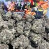 Falcon Premium Cannabis Flower