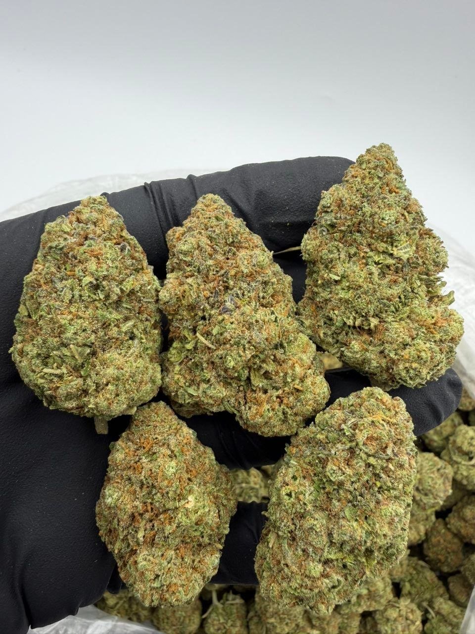 Cherry Sour Skittlez Premium Cannabis Flower