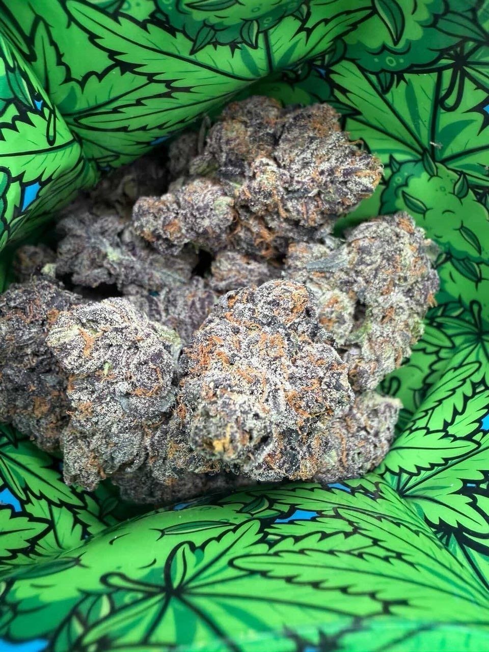 Snooze Pillows Summer Edition Premium Cannabis Flower - Image 4