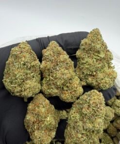 Cherry sour skittlez exotic indoor flower