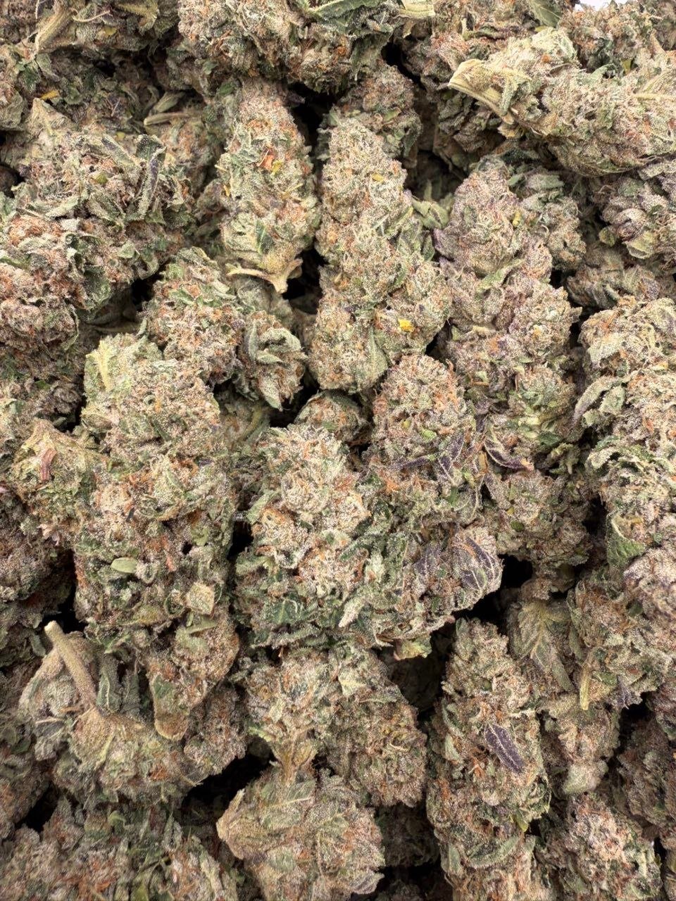Jet fuel runtz exotic indoor flower - Image 3