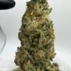 Jet fuel runtz exotic indoor flower