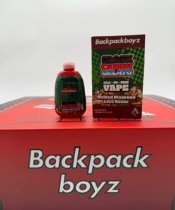 Buy Backpackboyz 2G Disposable
