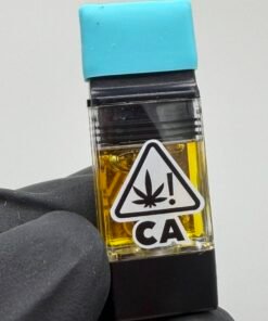 Alternative view of PLUGPLAY 1G Vape