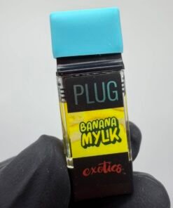 PLUGPLAY 1G Vape