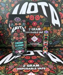 Mota 2g Disposable