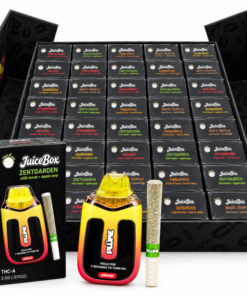 Plume Juice Box 2G Disposable